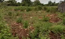 Dijual 5,3 Are, Jl. Palapa I Mundeh Belakang Stp Kutuh Kuta Selatan