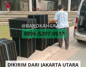 Terpercaya Tempat Jual Alas Rumput Sintetis Cirebon Gempol - Barokah Grass