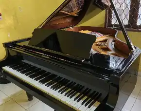 Grand Piano Petrof Cheko Hitam Mulus Full Ori