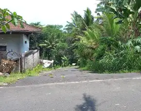 Dijual 22,8 Are, Jl. Kamboja Raya Denpasar Singaraja Werdibhuwana Mengwi Badung