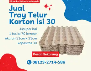 Jual Rak Telur (Tray Telor) Kirim Ke Asakota Ntb (3), Merk Aksa