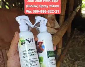 Jual Obat Pmk Sapi Boyolali Biosw
