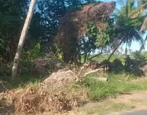 Dijual 10 Are, Jl. Sugriwa Nyambu Kediri Tabanan