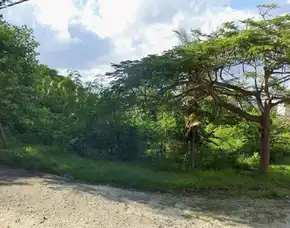 Dijual 11,5 Are, Super Full View, Jl. Pantai Pandawa Kutuh Kuta Selatan