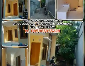 Rumah Dikontrakkan, Disewakan Rumah Nyaman Di Tlogomulyo, Pedurungan, Semarang.Lt60 Lb60 Kt3 Km1