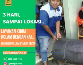 Pusat Distributor Agen Terpal Kolam Budidaya Ikan Melayani Area Makassar Dan Sekitarnya