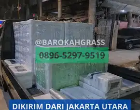 Bisa Kirim Tempat Beli Tatakan Rumput Sintetis Riau Siak Tualang - Barokah Grass