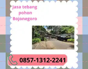 Jasa Tukang  Tebang Pohon Bonegoro