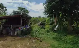 Dijual 3 Are, Jl. Mundeh Gubug Sari Barat Smpn 5 Kutuh Kuta Selatan
