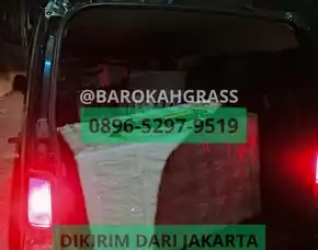 Bisa Kirim Penjual Drainase Rumput Sintetis Palu Toli Toli - Barokah Grass