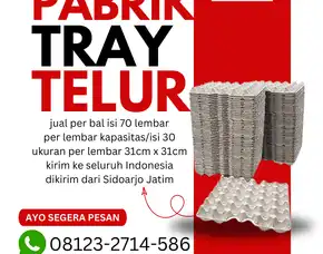 Aman Terpercaya - Egg Tray (Tray Telor) Kirim Ke Maronge Sumbawa (19)