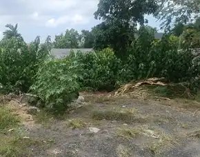 Dijual 6 Are, Jl. Dalem Gede Pantai Pererenan Mengwi Badung