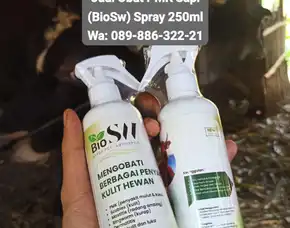 Jual Obat Pmk Sapi Jepara Biosw